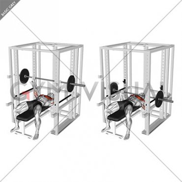 Barbell Pin Chest Press