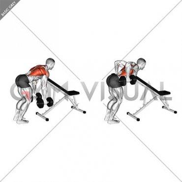 Dumbbell Bent Over Row with Chest Support