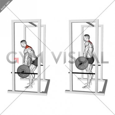 Barbell Power Shrug