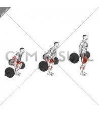 Barbell Behind The Back Deadlift