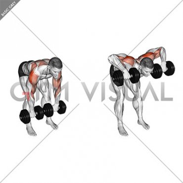 Dumbbell Bent Over Face Pull