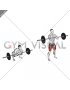 Barbell Zercher Deadlift