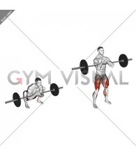 Barbell Zercher Deadlift