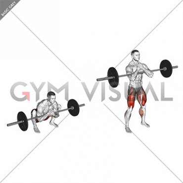 Barbell Zercher Deadlift