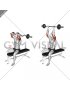 EZ Barbell Seated Triceps Extension