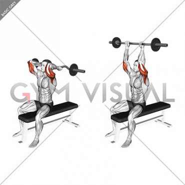 EZ Barbell Seated Triceps Extension