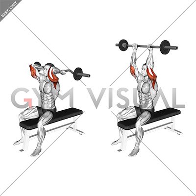 EZ Barbell Seated Triceps Extension - Gym visual