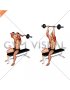 EZ Barbell Seated Triceps Extension