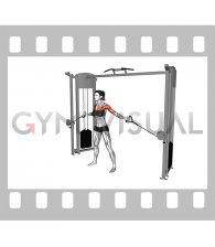 Cable Upper Chest Crossovers (female)