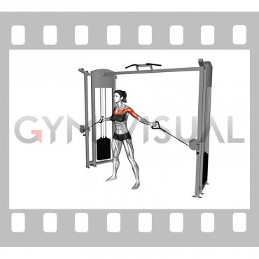 Cable Upper Chest Crossovers (female)