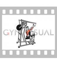 Lever Reverse Grip High Row (plate loaded)