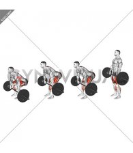 Barbell Pause Deadlift