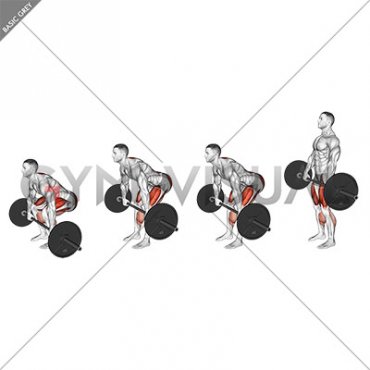 Barbell Pause Deadlift