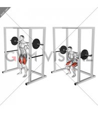 Barbell Pin Squat