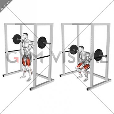 Barbell Pin Squat