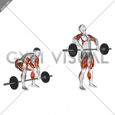 Barbell Clean Pull