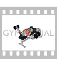 Dumbbell Fly