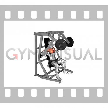 Lever Chest Press (plate loaded)