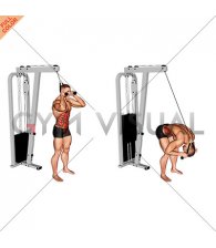 Cable Standing Crunch (with rope attachment)
