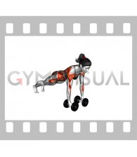 Dumbbell Renegade Row (female)