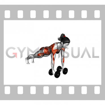 Dumbbell Renegade Row (female)