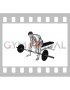 Barbell Seated Close-grip Concentration Curl