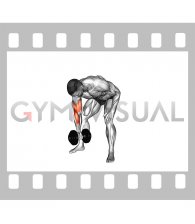 Dumbbell Standing Concentration Curl