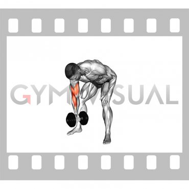 Dumbbell Standing Concentration Curl