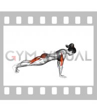 Raise Single Leg Push up (female)