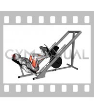 Sled 45° Leg Press