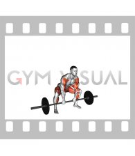 Sumo Deadlift High Pull