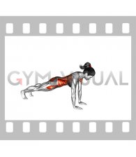 Plank arm lifts (female)