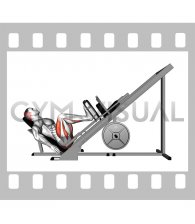 Sled 45° Leg Press (Side POV)