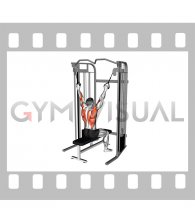 Cable Twin Handle Parallel Grip Lat Pulldown