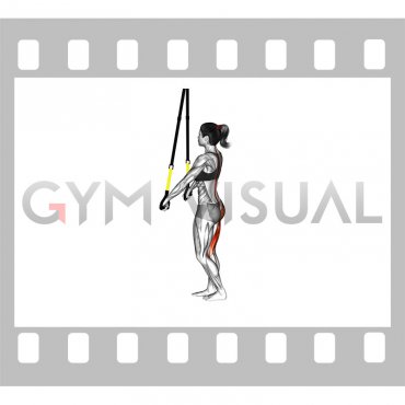 Suspender Single Leg Deadlift (female)