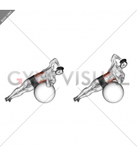 Weighted Side Bend (on stability ball)