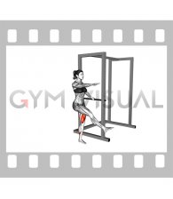 Single Leg Squat with Support (pistol) (female)