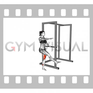 Single Leg Squat with Support (pistol) (female)