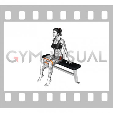 Resistance Band Seated Hip Abduction (female)