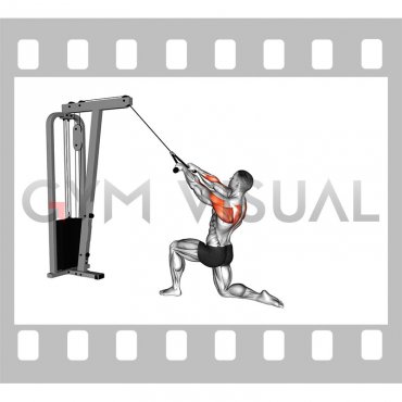 Cable Kneeling Rear Delt Row (with rope) (male)