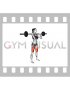 Barbell Clean grip Front Squat (female)