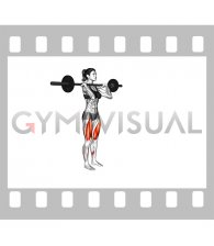 Barbell Front Rack Lunge (female)