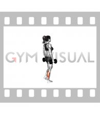 Dumbbell Standing Single Leg Calf Raise (female)