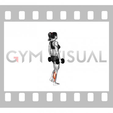 Dumbbell Standing Single Leg Calf Raise (female)