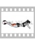 Dumbbell Lying Hamstring Curl (female)