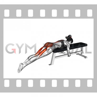 Reverse Hyper on Flat Bench (female)