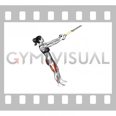 Suspender Single Leg Squat (female)