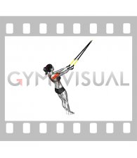 Suspender Y Lateral Raise (female)