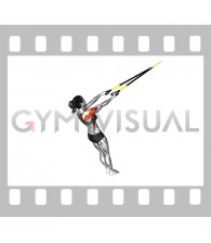 Suspender Split Fly (female)