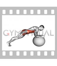 Stability Ball Front Plank